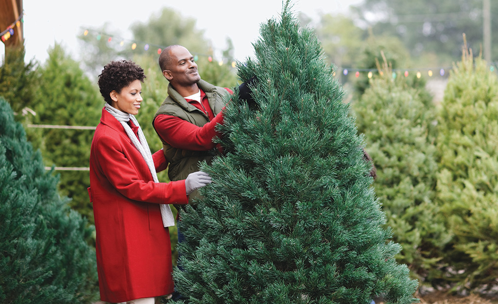 man and woman looking at Christmas tree