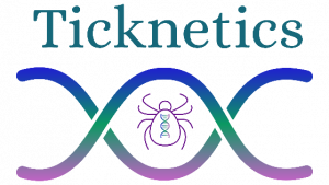 Ticknetics logo