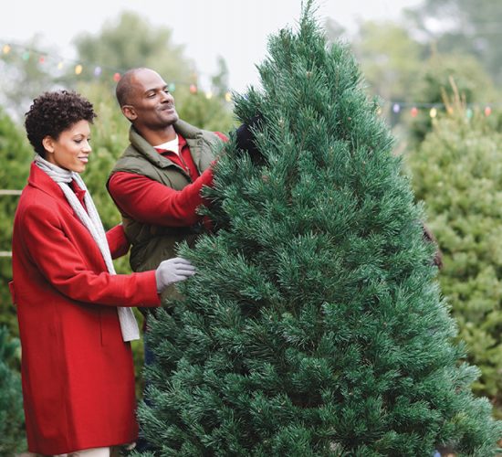man and woman looking at Christmas tree