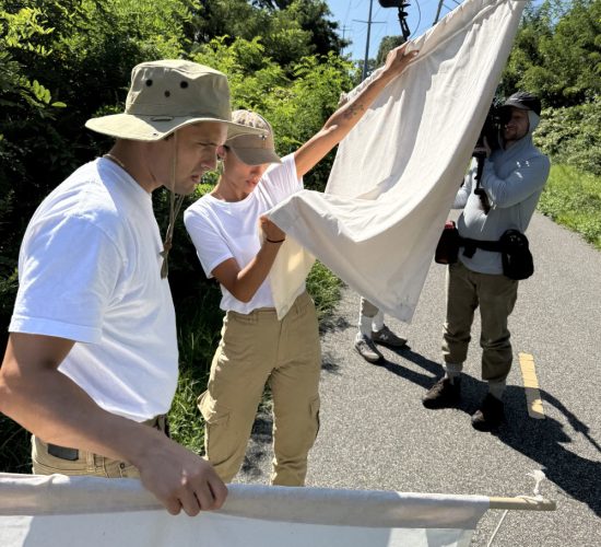 Researchers Examining Tick Drags on Long Island in Rocky Point New York